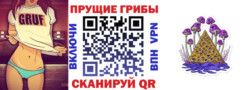 Галлюциногенные грибы Cubensis закладка Эртиль